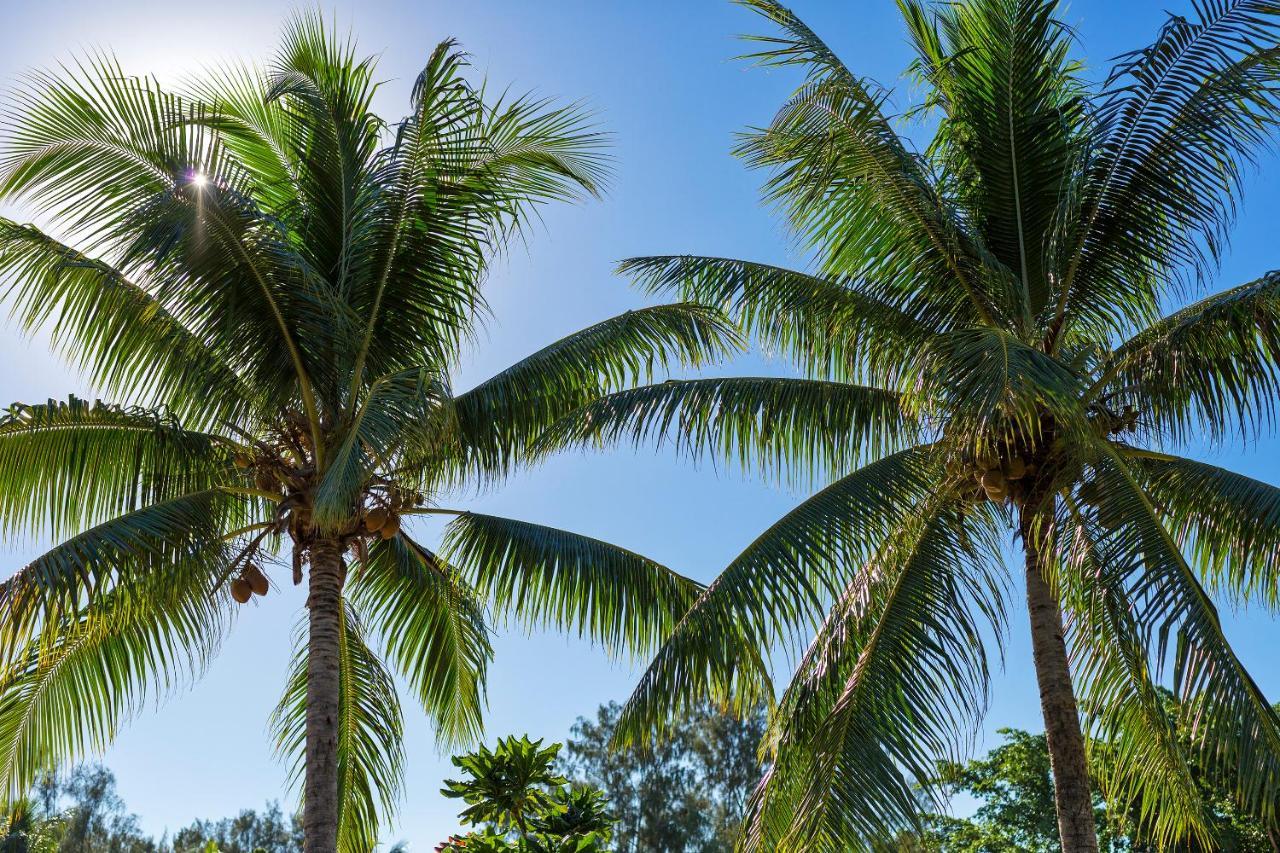 Warwick Le Lagon Resort & Spa, Vanuatu Port Vila Eksteriør billede